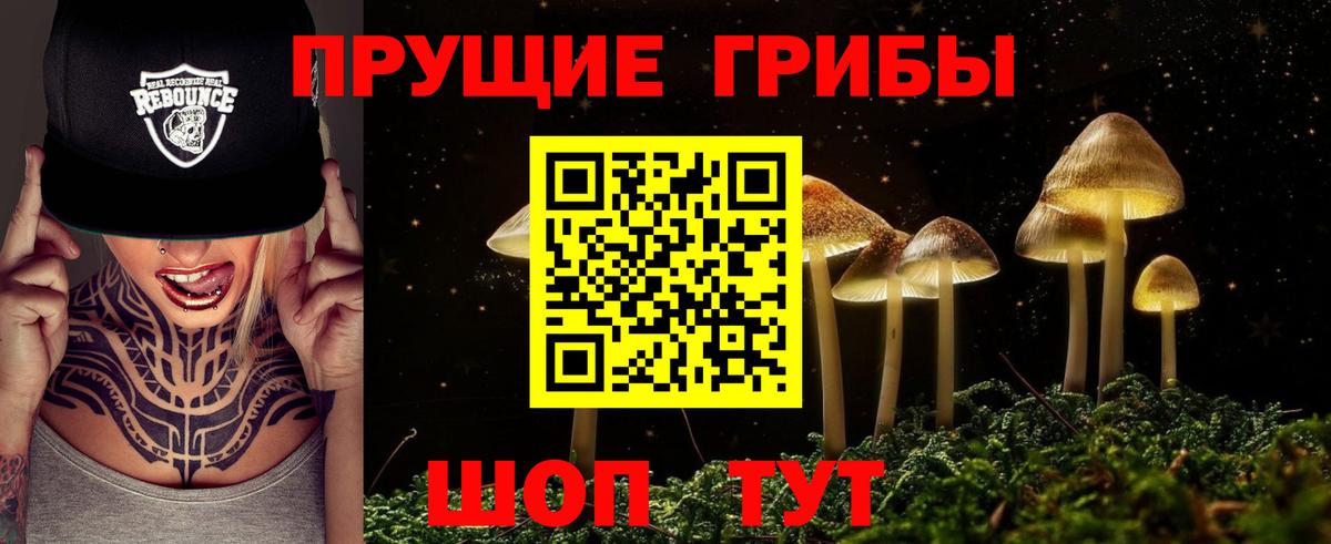 Воскресенск  Галлюциногенные грибы Magic Shrooms  где продают наркотики  Вход с VPN 
